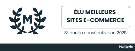 trophée meilleur site e-commerce