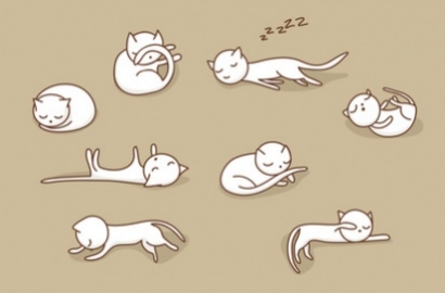 Quelle position de couchage adopter pour bien dormir ?