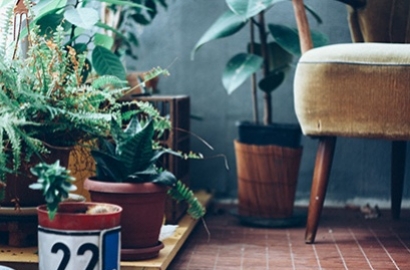 Peut-on dormir avec une plante dans sa chambre ?